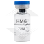 Image 2, HMG 75IU Euro US, Euro Pharmacies, 1 x 75IU - for sale