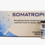 Image 2, Hilma HGH Somatropin powder, Hilma Biocare, 1 x 100 IU 3.3mg - for sale